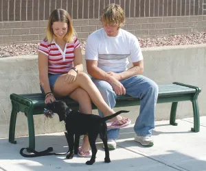 a couple sitting on a bench with a puppy