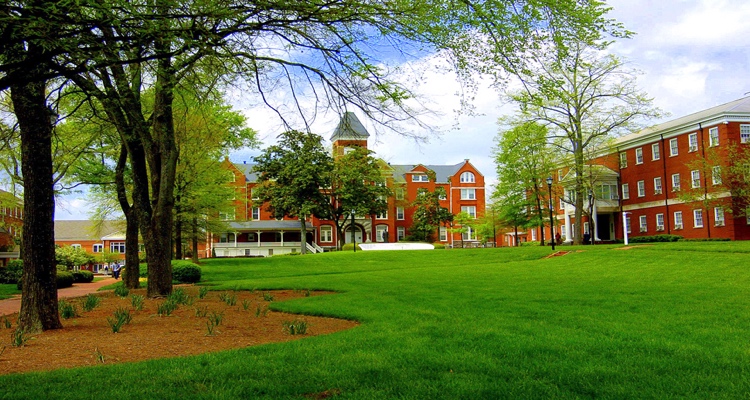 green lawn at a university