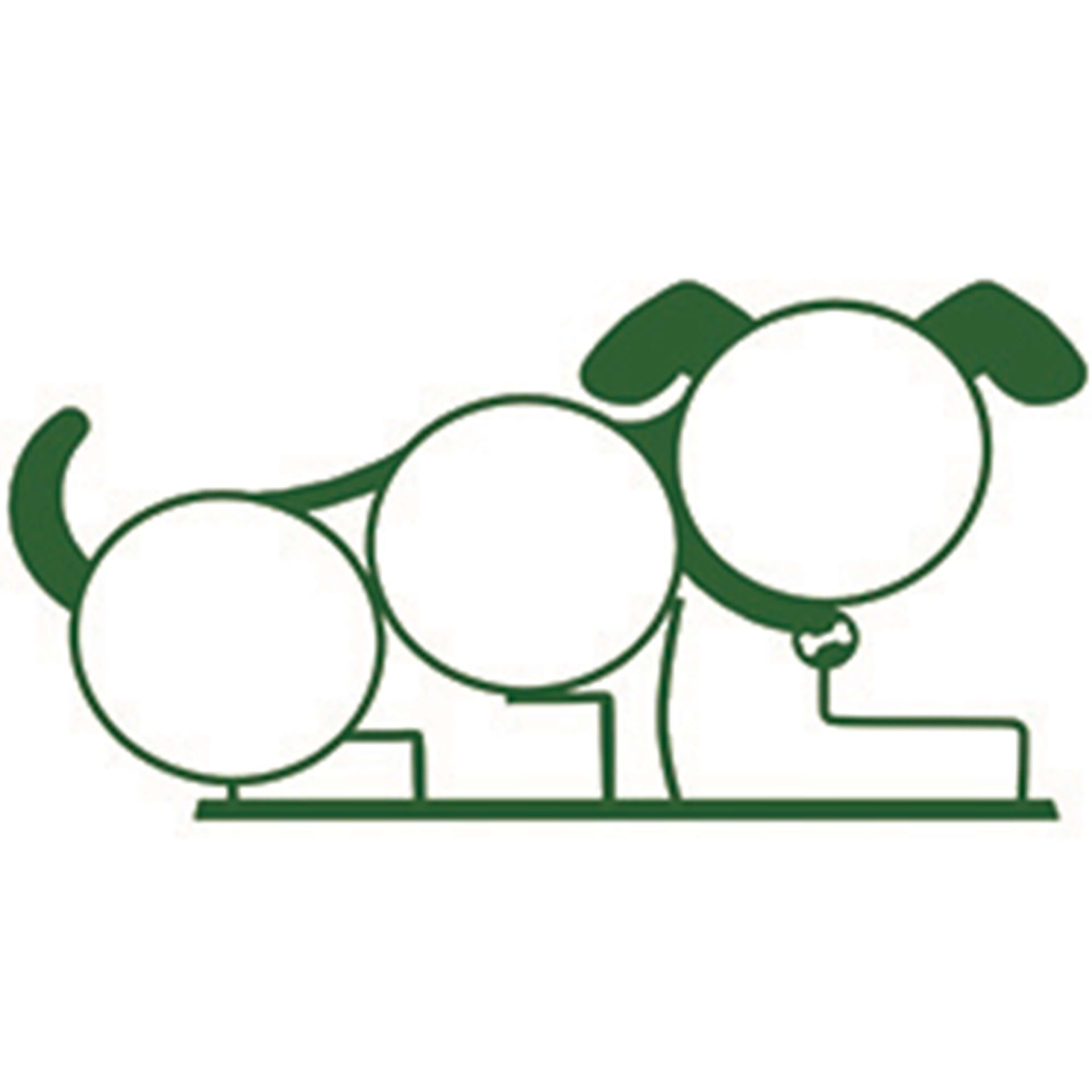 Dogi Jump Hoops for Dogs