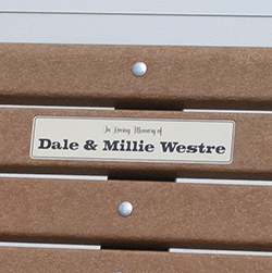 PLAQUE-1 PLAQUE-1