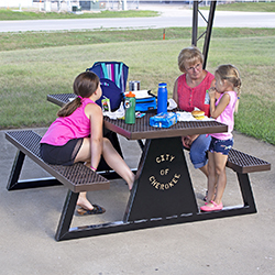 T720 Custom Identity Picnic Table - Using Expanded Steel